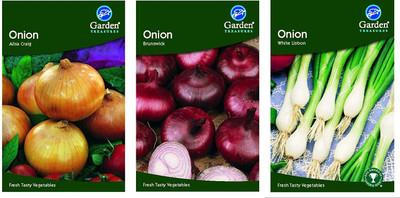 CYBEXIS Onion Seed Pack White Ailsa Craig Red Brunswick Spring Onion Grow Your Own Seed(10 g)