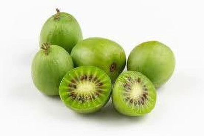 XOLDAA hybrid kiwi fruit seeds Seed(122 per packet)
