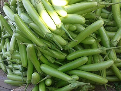 Aywal Begun Seed(35 per packet)