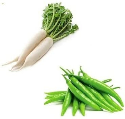WILLVINE SCI -VIII Chilli & Radish Seeds[25gm, 5000 Seeds] Seed(5000 per packet)