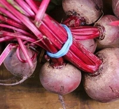 MYLAWN Beetroot - Boston Seed(100 per packet)