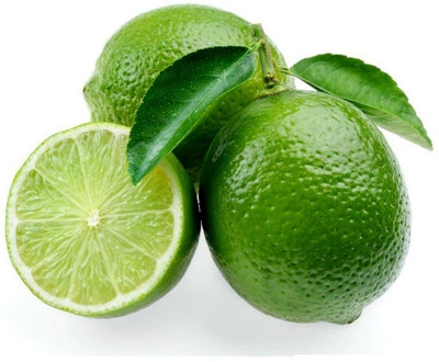 WILLVINE Darjeeling variety Mosambi Citrus Limetta Plant-[2500 Seeds] Seed(2500 per packet)