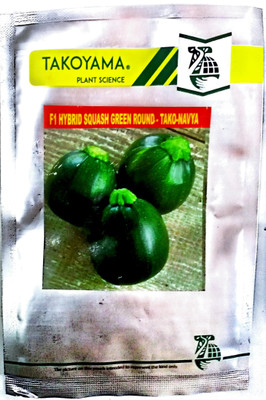 KRASHAK GREEN SUMMER SQUASH, F1 HYBRID SEED Seed(1 per packet)