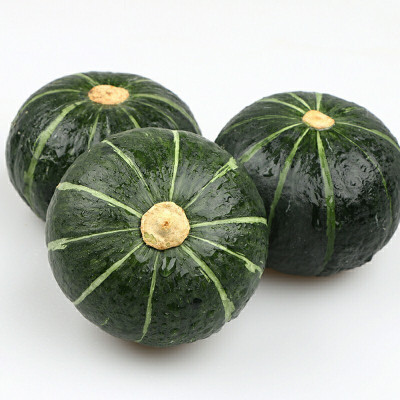 Farmonix Soft In The Mouth Gold Little Pumpkins Seed(2000 per packet)