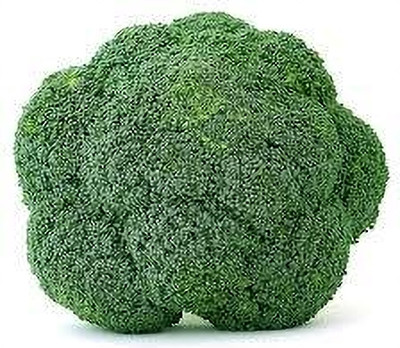 AMAJIT Hybrid Green Broccoli Vegetable Seed(46 per packet)