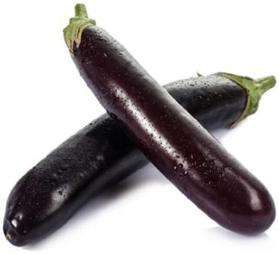 Biosnyg Poly Houses PURPLE LONG BRINJAL ( Seeds) Seed(2000 per packet)