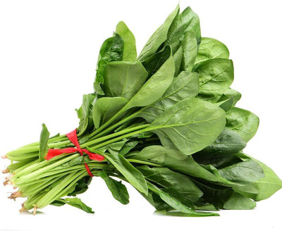 KNESSiN Spinach Seed(500 per packet)