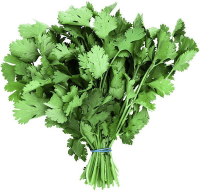 SeedHaven Coriander fresh organic seeds Seed(100 per packet)