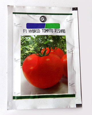 WILLVINE Tomato Seeds High qulity Rishab [10g, 3000 Seeds] Seed(3000 per packet)