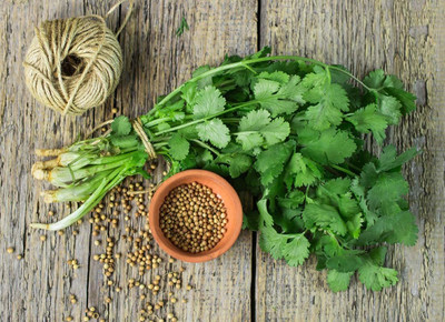 LPT HARA DHANIYA Seed(300 per packet)