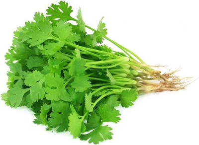 BJUBAS Hybrid coriander seeds Seed(2750 per packet)