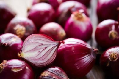 Qualtivate HUA-1A Onion Red F1 Hybrid Seeds Seed(500 per packet)