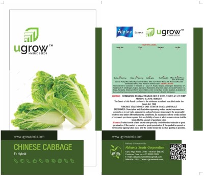 JD AGRO FRESH CHINESE CABBAGE SEEDS & PLANT Seed(30 per packet)