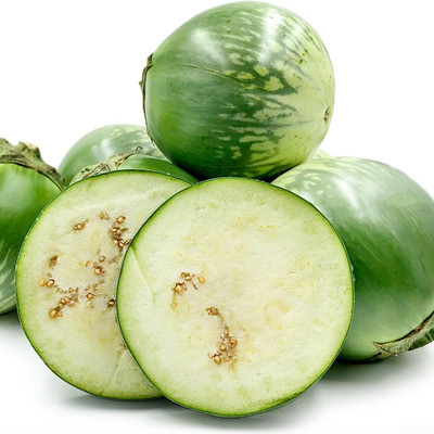 KNESSiN Thai Brinjal Seeds Round Green-[10gm] Seed(2000 per packet)
