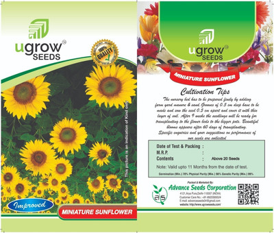 Clint FL-122-MINIATURE-SUNFLOWER Seed (40 per packet) Seed(40 per packet)