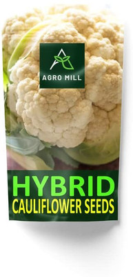 WILLVINE AGRI -XVI Hybrid Variety Improved Japanese Cauliflower [10g, 3000 Seeds] Seed(3000 per packet)