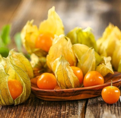 Quentova Cherry Husk - Cape Gooseberry Seed(100 per packet)