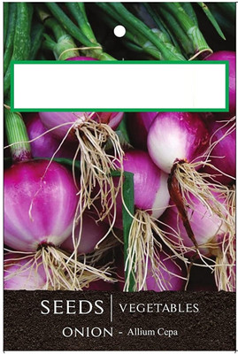 KNESSiN Onion Seed(1250 per packet)