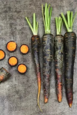 MAA Carrot Black, Gajar Seed(40 per packet)