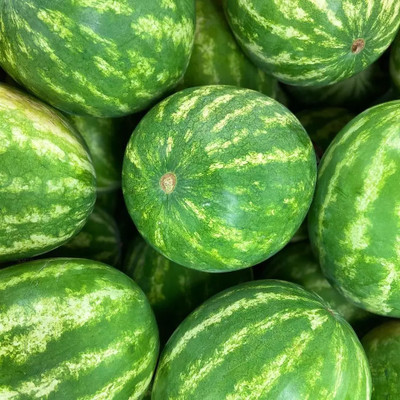 EMKOT Tropical Fruit Watermelon/तरबूज के बीज Seed(30 per packet)