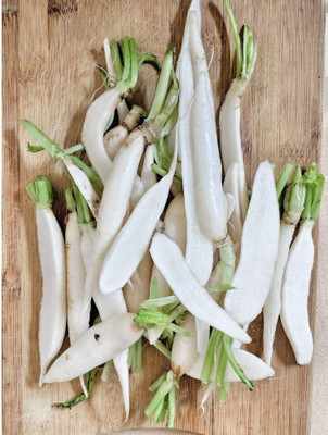 Avysa White Icicle Radish Seed(300 per packet)