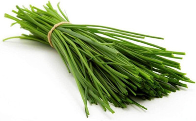 CYBEXIS LX-81 - Organic Chives - (2250 Seeds) Seed(2250 per packet)