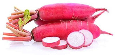 Aywal Mooli Seeds - (Red Long Radish) Seed(2000 per packet)
