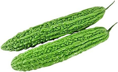 Qualtivate HYB-1A Balsam Pear Bitter Melon Seeds Seed(50 per packet)