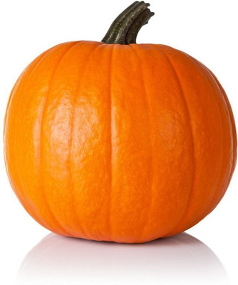 CYBEXIS NBIR-93 - Pumpkin Premium Hybrid Quality - (300 Seeds) Seed(300 per packet)