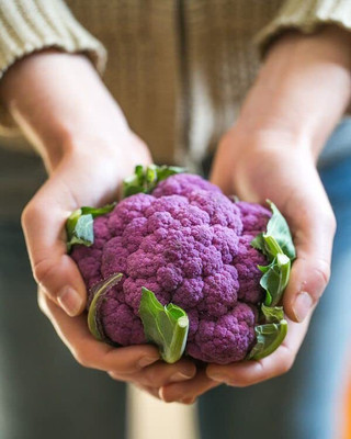 WILLVINE HAR -VI Organic Purple Cauliflower [50g, 15000 Seeds] Seed(15000 per packet)