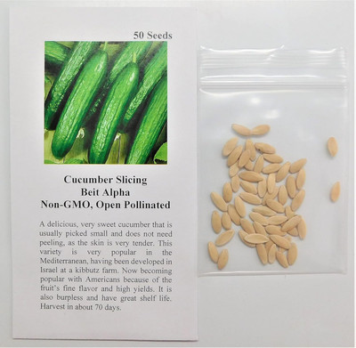 Qualtivate HYB-7A Cucumber Slicing Beit Alpha Seeds Seed(300 per packet)