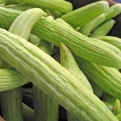 Quentova GREEN LONG MELON (KAKRI) SEEDS-HQL-6G Seed(300 per packet)