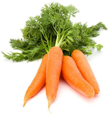 Quentova Orange Carrot/Gaajar Gardening-6V-RXI Seed(300 per packet)