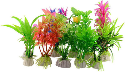 Pbevergreen IMPORTED BEAUTIFUL FISH TANK/AQUARIUM GRASS Seed(60 per packet)