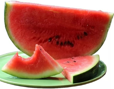 Quentova Sweet and juicy watermelon fruit-VISHVA-9N Seed(50 per packet)