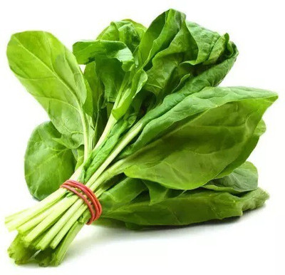 Quentova Palak/Spinach Vegetables Seed(200 per packet)