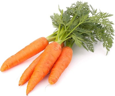 BJUBAS Carrot Orange F1 Hybrid Seeds For Home Gardening PACK OF 184 Seed(184 per packet)
