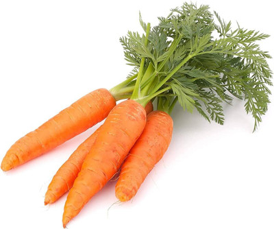 BDSresolve Carrot seeds PACK OF 154 Seed(154 per packet)
