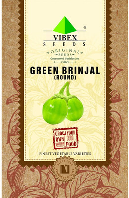 WILLVINE Round Green Brinjal Seeds Seed(1600 per packet)