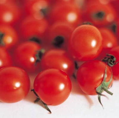 ActrovaX Tomato - Cherry Toms - Garden Pearl [2000 Seeds] Seed(2000 per packet)