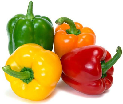 Foscos Capsicum(Shimla Mirch) Seed(100 per packet)