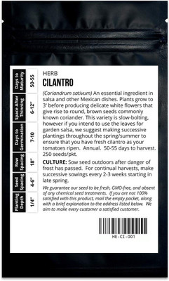VibeX PAU-28 - Longstanding Cilantro - (750 Seeds) Seed(750 per packet)