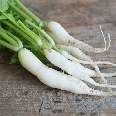 VINTI Radish Seeds (Organic) Seed(1000 per packet)