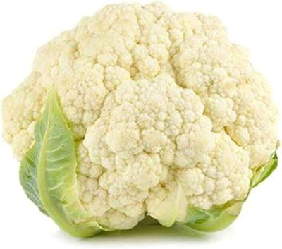 wequality New cauliflower seeds fo home garden/cauliflower seeds 14 Seed(14 per packet)