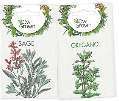 CYBEXIS 2 - Varities Seeds Combo-Sage,Oregano Seed(10 g)