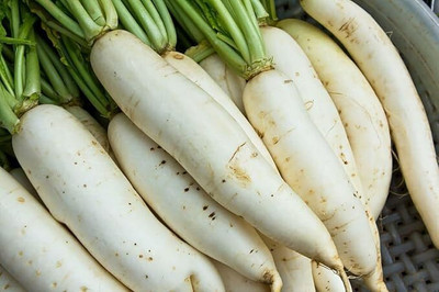 LPR MULI ,WHITE RADISH Seed(100 per packet)