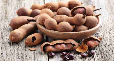KNESSiN Imli Tamarind Small-{100 Seeds} Seed(100 per packet)
