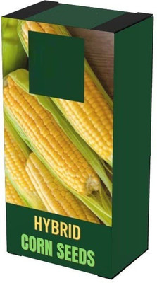 VibeX ® RXI-993 F1 Hybrid Sweet Corn Seeds Seed(500 per packet)