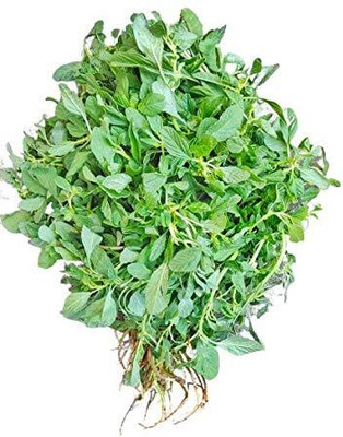Qualtivate RES-1A Spinach Green(Amaranthus) Hara Saag Cheera Seed(300 per packet)