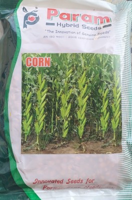 HYBRID 1kg, hybrid corn/ makka seeds highest yield Verity long sitta Seed(1 per packet)